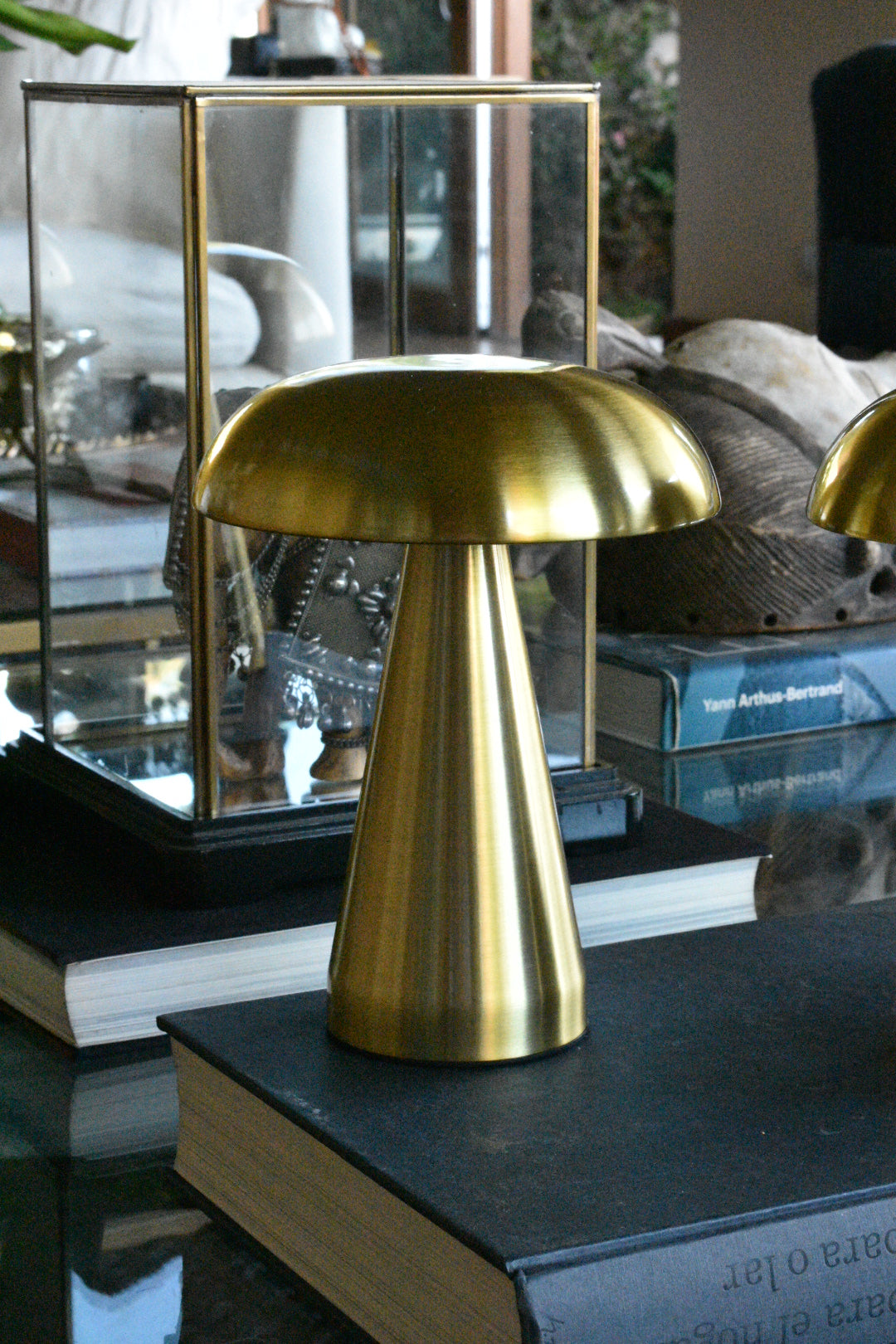 Modelo Fungi Gold