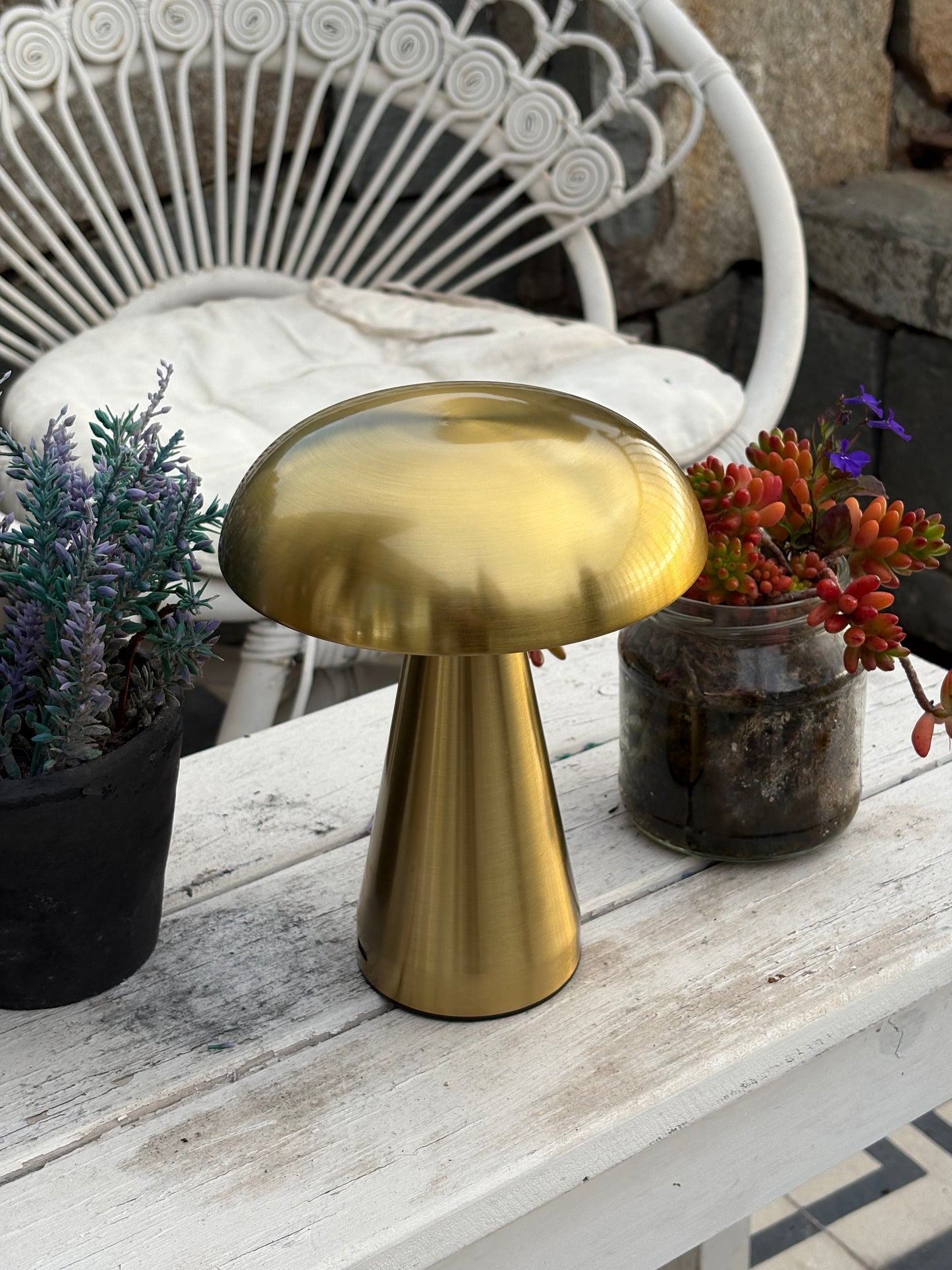 Modelo Fungi Gold